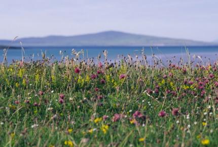 Ecosystem Change | Marine Climate Change Impacts Partnership